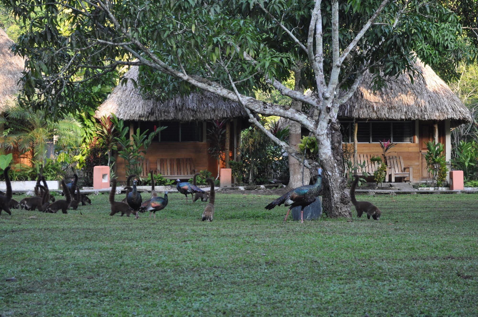 Hotel Tikal Inn Exterior foto
