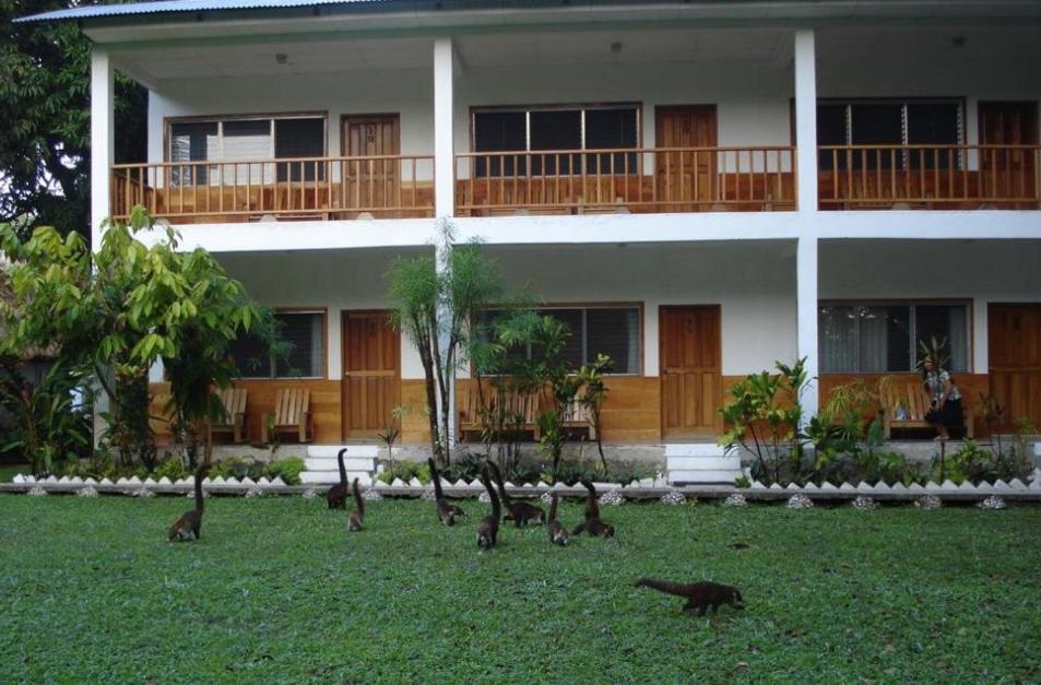Hotel Tikal Inn Exterior foto